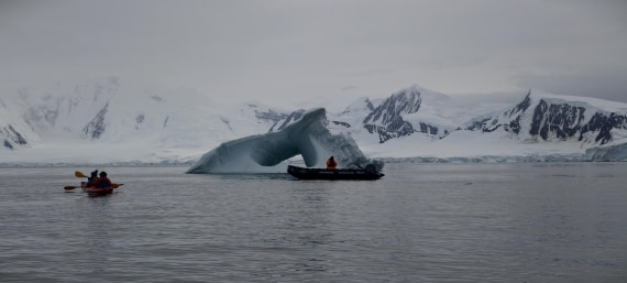 HDS26-26, Day 4, IMG_20260111_101727 © Unknown photographer - Oceanwide Expeditions.jpg