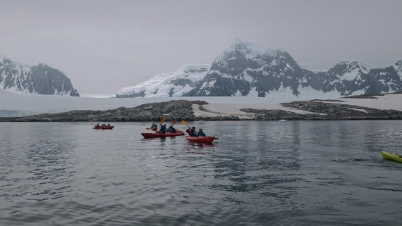 HDS26-26, Day 4, IMG_20260111_103137 © Unknown photographer - Oceanwide Expeditions.jpg
