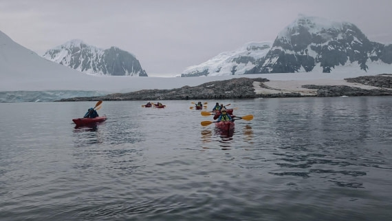 HDS26-26, Day 4, IMG_20260111_103146 © Unknown photographer - Oceanwide Expeditions.jpg