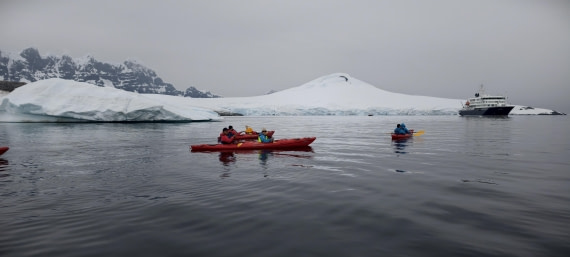 HDS26-26, Day 4, IMG_20260111_103347 © Unknown photographer - Oceanwide Expeditions.jpg