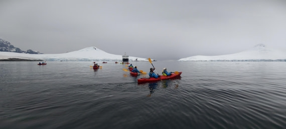 HDS26-26, Day 4, IMG_20260111_103552 © Unknown photographer - Oceanwide Expeditions.jpg