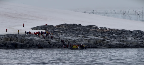 HDS26-26, Day 4, IMG_20260111_103620 © Unknown photographer - Oceanwide Expeditions.jpg