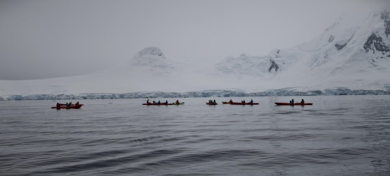 HDS26-26, Day 4, IMG_20260111_103737 © Unknown photographer - Oceanwide Expeditions.jpg