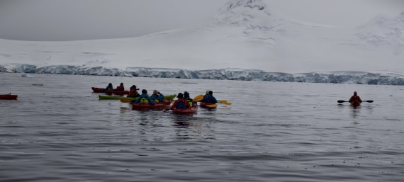 HDS26-26, Day 4, IMG_20260111_103805 © Unknown photographer - Oceanwide Expeditions.jpg