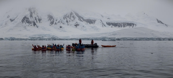 HDS26-26, Day 4, IMG_20260111_104235 © Unknown photographer - Oceanwide Expeditions.jpg
