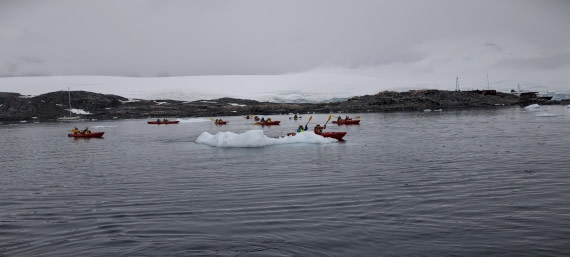 HDS26-26, Day 4, IMG_20260111_162117 © Unknown photographer - Oceanwide Expeditions.jpg