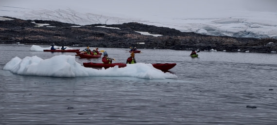 HDS26-26, Day 4, IMG_20260111_162137 © Unknown photographer - Oceanwide Expeditions.jpg