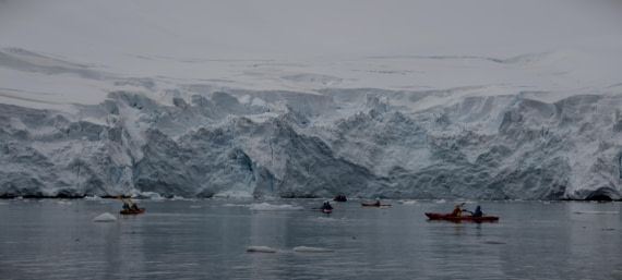 HDS26-26, Day 4, IMG_20260111_162340 © Unknown photographer - Oceanwide Expeditions.jpg