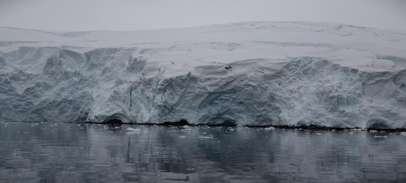 HDS26-26, Day 4, IMG_20260111_163117 © Unknown photographer - Oceanwide Expeditions.jpg