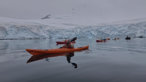 HDS26-26, Day 4, IMG_20260111_163911 © Unknown photographer - Oceanwide Expeditions.jpg
