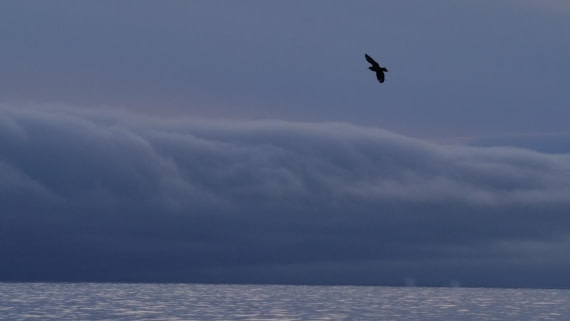 HDS26-26, Day 4, PLUX4386 © Jade Heister - Oceanwide Expeditions.JPG