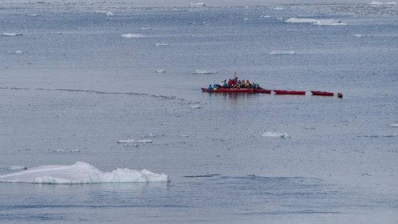 HDS26-26, Day 4, PLUX5514 © Jade Heister - Oceanwide Expeditions.JPG