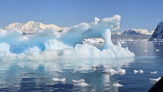 HDS26-26, Day 5, 20260112_093212 © Unknown photographer - Oceanwide Expeditions.jpg