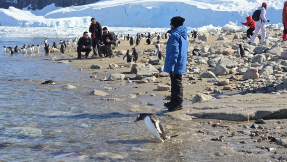 HDS26-26, Day 5, 20260112_104223 © Unknown photographer - Oceanwide Expeditions.jpg