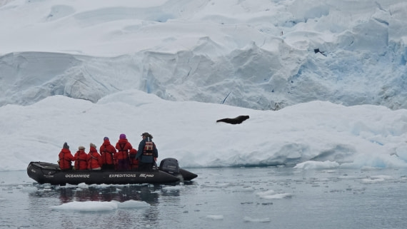HDS26-26, Day 5, 20260112_153226 © Unknown photographer - Oceanwide Expeditions.jpg