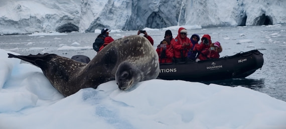 HDS26-26, Day 5, IMG_20260112_153902 © Unknown photographer - Oceanwide Expeditions.jpg