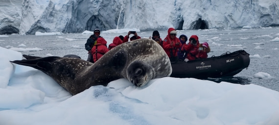 HDS26-26, Day 5, IMG_20260112_153903 © Unknown photographer - Oceanwide Expeditions.jpg