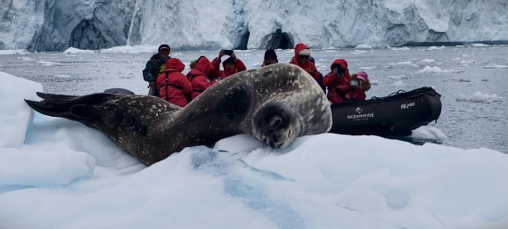 HDS26-26, Day 5, IMG_20260112_153904 © Unknown photographer - Oceanwide Expeditions.jpg