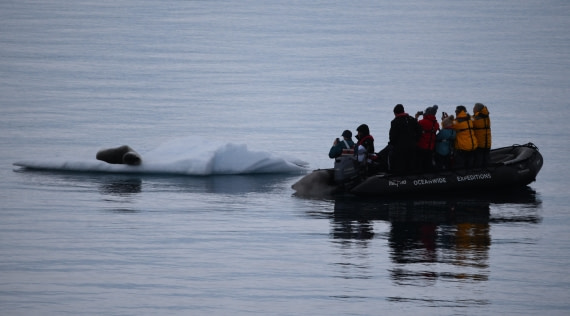 HDS26-26, Day 5, Leopard photos © Unknown photographer - Oceanwide Expeditions.JPG