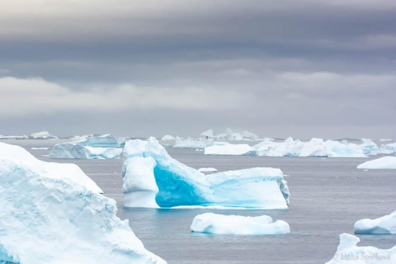 HDS26-26, Day 6, _DSC9027 © Hana Spickova - Oceanwide Expeditions.jpg