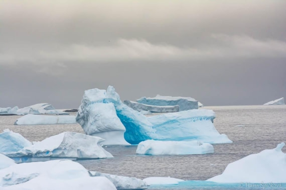 HDS26-26, Day 6, _DSC9069 © Hana Spickova - Oceanwide Expeditions.jpg