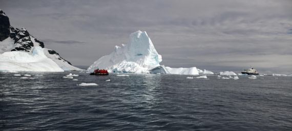 HDS26-26, Day 6, IMG_20260113_100259 © Unknown photographer - Oceanwide Expeditions.jpg