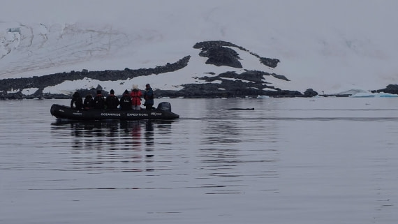 HDS26-26, Day 6, IMG_20260113_113057 © Unknown photographer - Oceanwide Expeditions.jpg