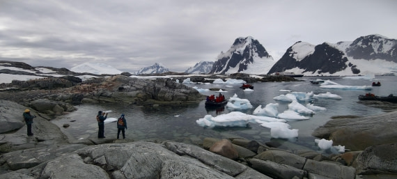 HDS26-26, Day 6, IMG_20260113_144245 © Unknown photographer - Oceanwide Expeditions.jpg