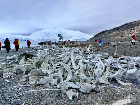 HDS26-26, Day 7, IMG_1831_Hana_(4) © Hana Spickova - Oceanwide Expeditions.jpg