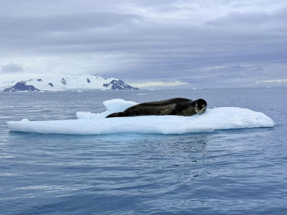 HDS26-26, Day 8, IMG_1845_Hana_(5) © Hana Spickova - Oceanwide Expeditions.jpg