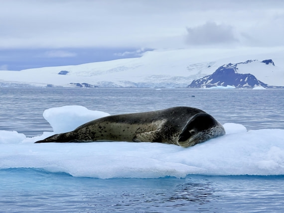 HDS26-26, Day 8, IMG_1845_Hana_(6) © Hana Spickova - Oceanwide Expeditions.jpg
