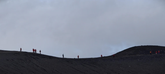 HDS26-26, Day 8, IMG_20260115_081312 © Unknown photographer - Oceanwide Expeditions.jpg