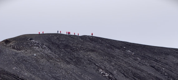 HDS26-26, Day 8, IMG_20260115_082416 © Unknown photographer - Oceanwide Expeditions.jpg
