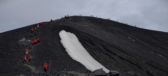 HDS26-26, Day 8, IMG_20260115_082736 © Unknown photographer - Oceanwide Expeditions.jpg