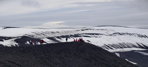 HDS26-26, Day 8, IMG_20260115_083542 © Unknown photographer - Oceanwide Expeditions.jpg