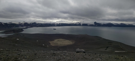 HDS26-26, Day 8, IMG_20260115_083703 © Unknown photographer - Oceanwide Expeditions.jpg