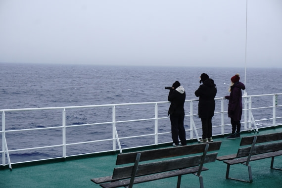 PLA26-26, Day 3, DSC08481.JPG © Unknown Photographer - Oceanwide Expeditions.JPG