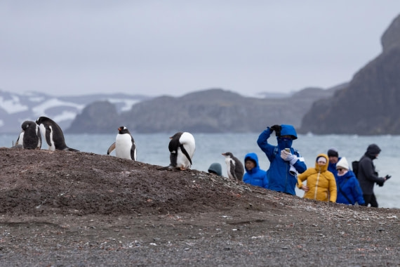 PLA26-26, Day 4, 4Q9A6240-2.jpg © Unknown Photographer - Oceanwide Expeditions.jpg