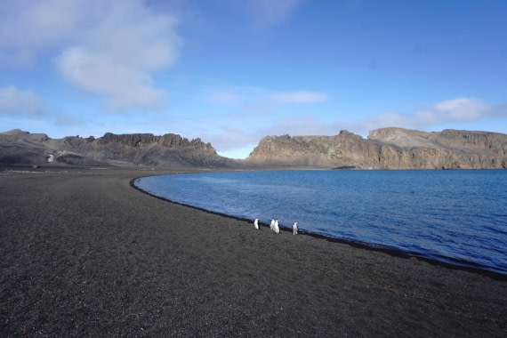 PLA26-26, Day 4, DSC08525.JPG © Unknown Photographer - Oceanwide Expeditions.JPG