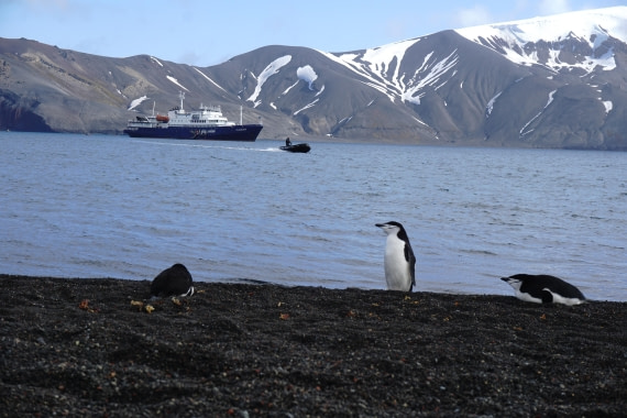 PLA26-26, Day 4, DSC08545.JPG © Unknown Photographer - Oceanwide Expeditions.JPG