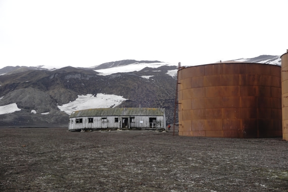 PLA26-26, Day 4, DSC08550.JPG © Unknown Photographer - Oceanwide Expeditions.JPG