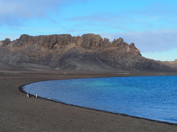 PLA26-26, Day 4, IMG_7697.JPG © Unknown Photographer - Oceanwide Expeditions.JPG