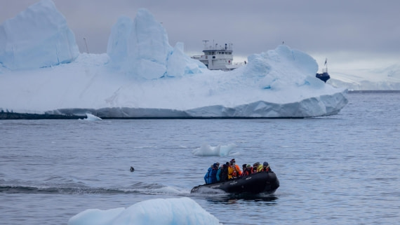 PLA26-26, Day 5, 4Q9A6691.jpg © Unknown Photographer - Oceanwide Expeditions.jpg