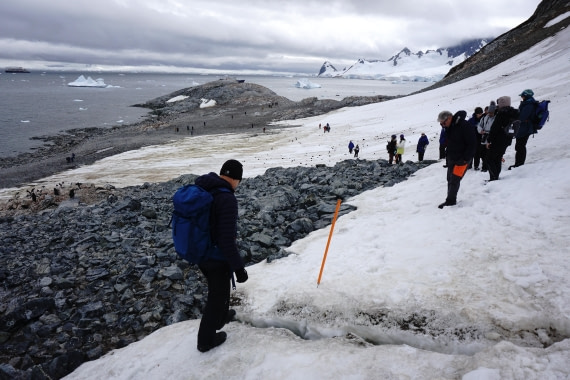 PLA26-26, Day 5, DSC08565.JPG © Unknown Photographer - Oceanwide Expeditions.JPG