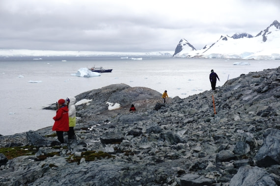 PLA26-26, Day 5, DSC08576.JPG © Unknown Photographer - Oceanwide Expeditions.JPG