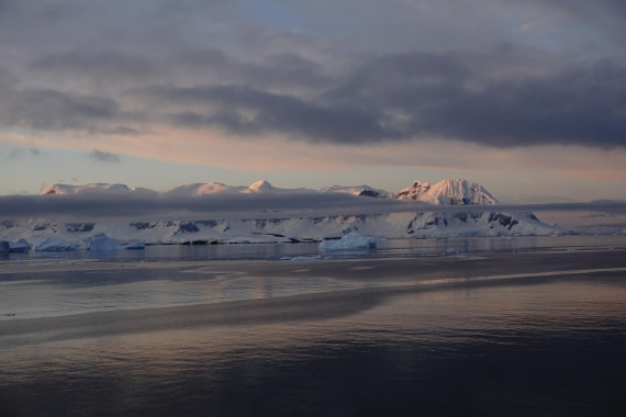 PLA26-26, Day 5, DSC08588.JPG © Unknown Photographer - Oceanwide Expeditions.JPG