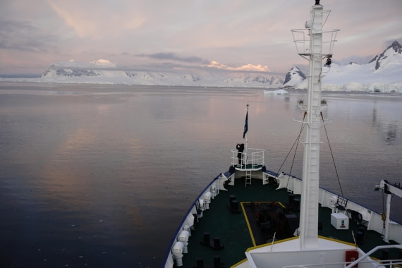 PLA26-26, Day 5, DSC08589.JPG © Unknown Photographer - Oceanwide Expeditions.JPG