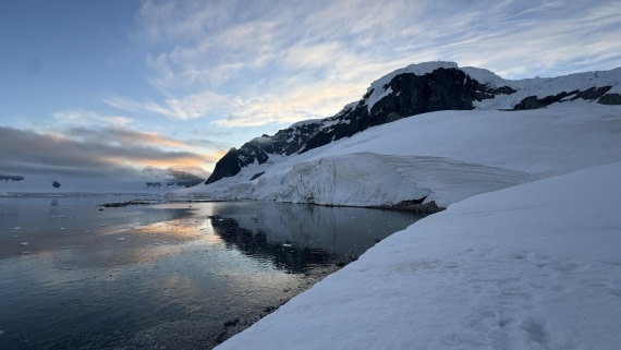 PLA26-26, Day 5, IMG_1764.jpg © Unknown Photographer - Oceanwide Expeditions.jpg