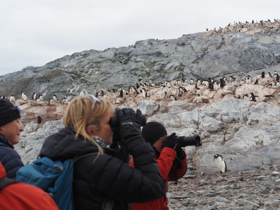 PLA26-26, Day 5, IMG_7761 2.JPG © Unknown Photographer - Oceanwide Expeditions.JPG