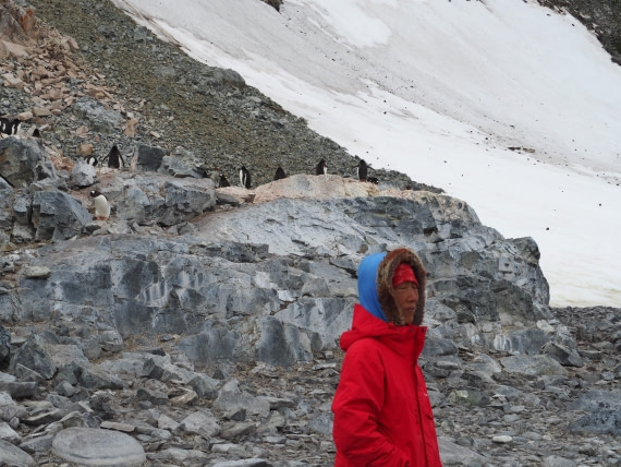 PLA26-26, Day 5, IMG_7766.JPG © Unknown Photographer - Oceanwide Expeditions.JPG